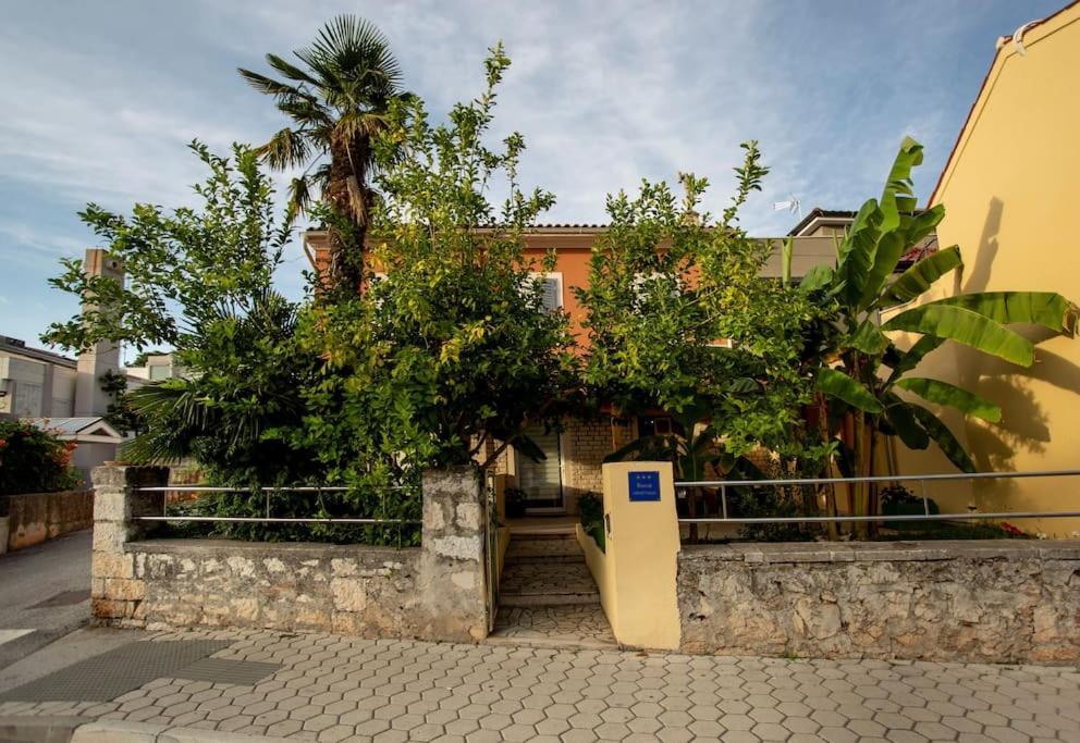 דירות Apartman Den,Rovinj Oaza U Centru Grada I Besplatnim Parkingom מראה חיצוני תמונה